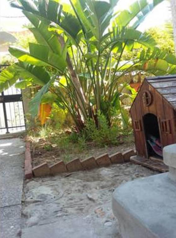 Casa Roby 120 Mt Beach فونتاني بيانكي المظهر الخارجي الصورة